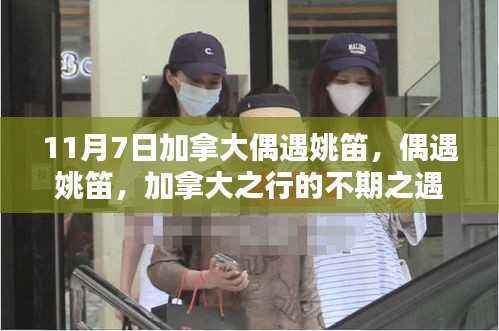 肝胆相照 第47页