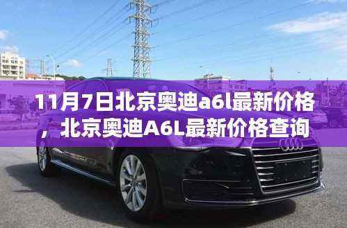 考级报名 第564页