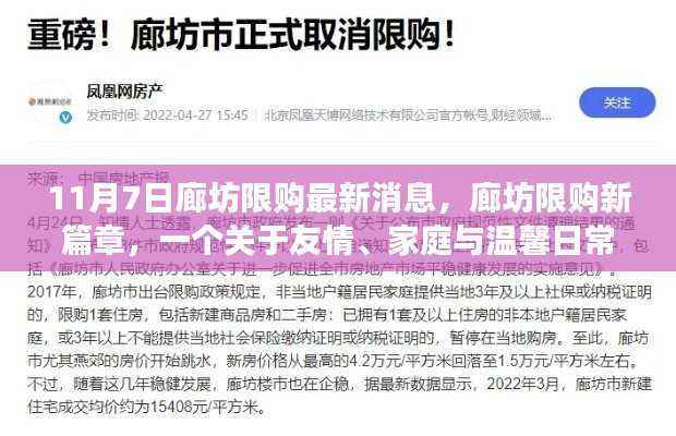 廊坊限购新篇章，友情、家庭与温馨日常的趣事