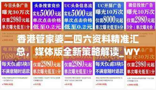 香港管家婆二四六资料精准汇总，媒体版全新策略解读_WYI805.11