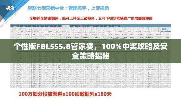 个性版FBL555.8管家婆，100%中奖攻略及安全策略揭秘