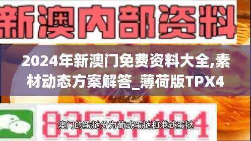 2024年新澳门免费资料大全,素材动态方案解答_薄荷版TPX491.48