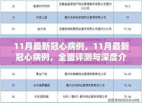 最新冠心病例深度解析与全面评测揭秘