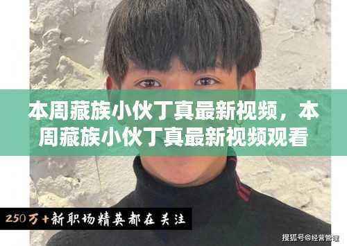 藏族小伙丁真最新视频,观看与解析指南