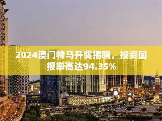 2024澳门特马开奖揭晓，投资回报率高达94.35%