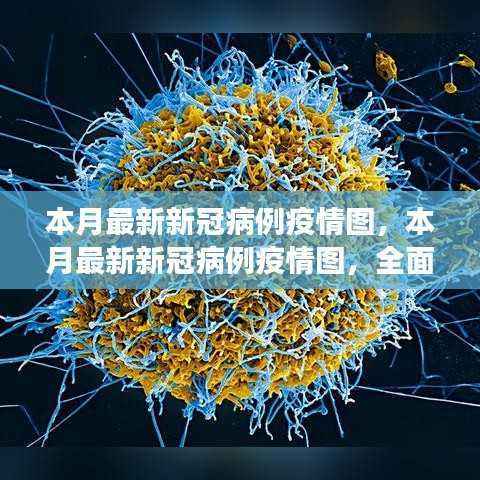 考级报名 第475页