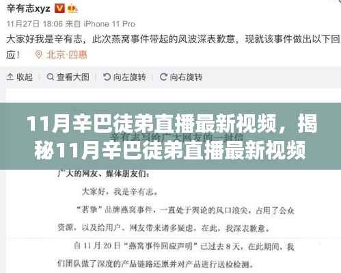 揭秘辛巴徒弟直播新动向，三大看点深度剖析11月最新视频