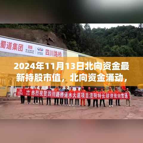 北向资金涌动,揭秘2024年11月13日持股市值新篇章
