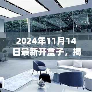 揭秘新纪元,2024年开盒子历史时刻开启
