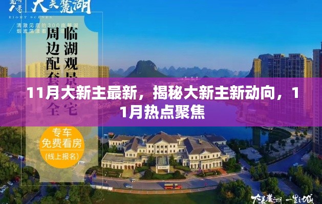 揭秘大新主新动向,11月热点聚焦速递