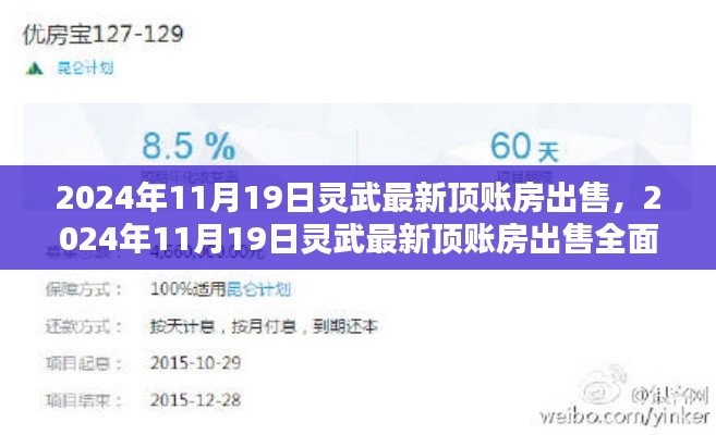 2024年灵武最新顶账房出售全面指南,特性、体验、竞品对比及用户群体深度解析