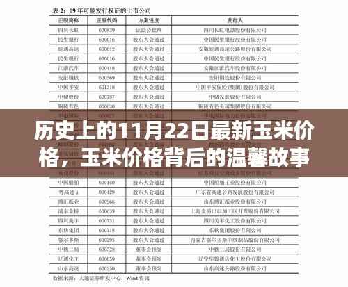 历史上的11月22日最新玉米价格，玉米价格背后的温馨故事，一个特别的11月22日