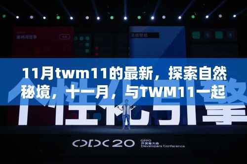 十一月,与TWM11共探自然秘境,寻找内心的平和之地