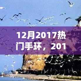 智能手环风潮席卷全球,开启科技新纪元,十二月热门手环盘点