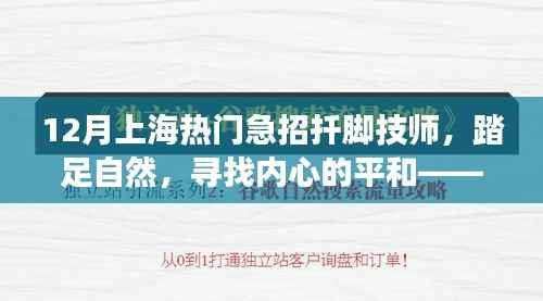admin 第3页