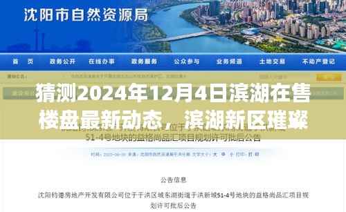 滨湖新区未来璀璨，2024年12月4日楼盘最新动态预测及在售楼盘动态解析