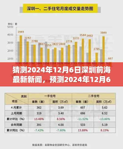 2024年12月6日深圳前海最新新闻动向展望