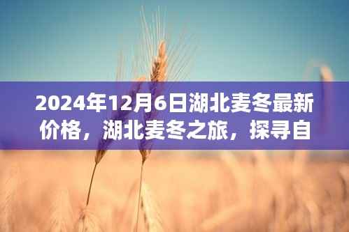 森久 第3页
