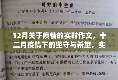 十二月疫情下的坚守与希望,实时观察与思考