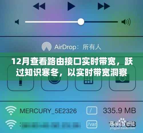实时带宽监控，点亮成长之路，跃过知识寒冬的必备工具