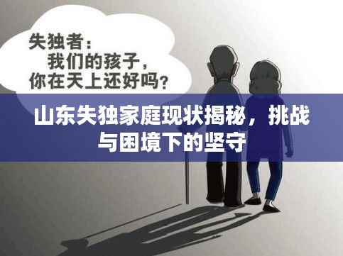 山东失独家庭现状揭秘,挑战与困境下的坚守
