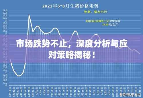 市场跌势不止，深度分析与应对策略揭秘！