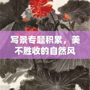 写景专题积累,美不胜收的自然风光画卷