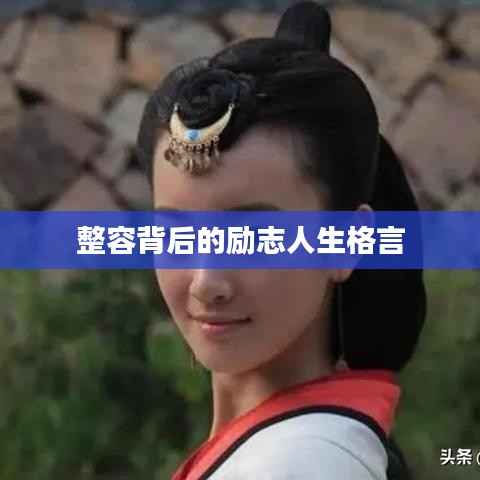 考级报名 第194页