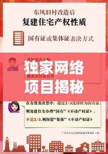 独家网络项目揭秘,现代网络时代的独特机遇一网打尽