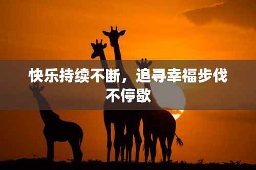 快乐持续不断，追寻幸福步伐不停歇