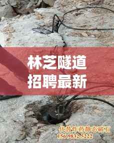 林芝隧道招聘最新动态一网打尽，职位信息及相关信息解析