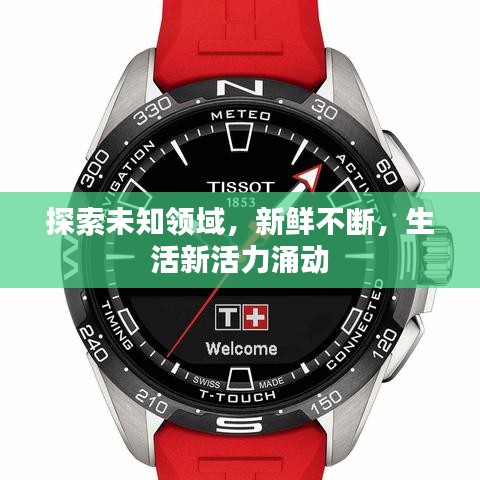探索未知领域，新鲜不断，生活新活力涌动